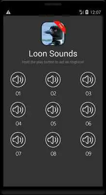 Play Loon Bird Sounds Play Loon Bird Sounds