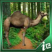 Free play online Loose Camel Simulator APK Free play online Loose Camel Simulator APK