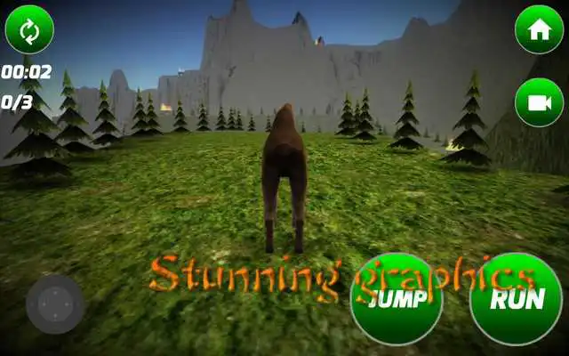 Play Loose Camel Simulator