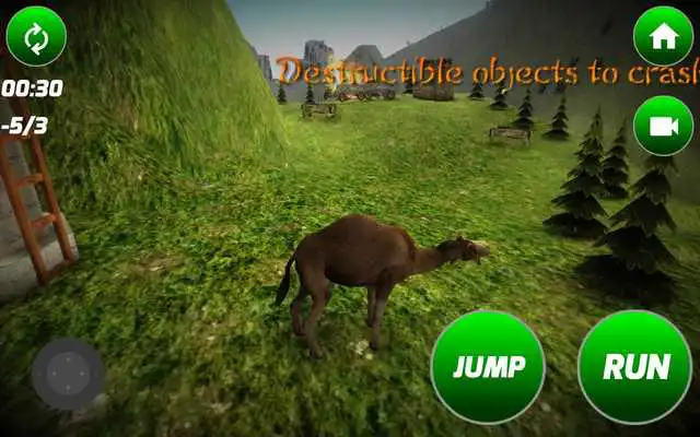 Play Loose Camel Simulator