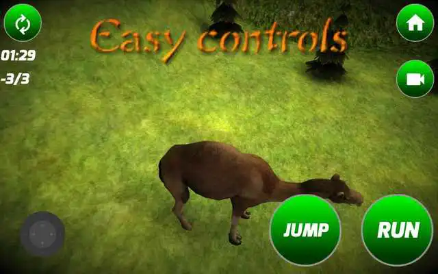 Play Loose Camel Simulator