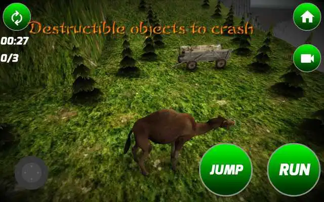 Play Loose Camel Simulator
