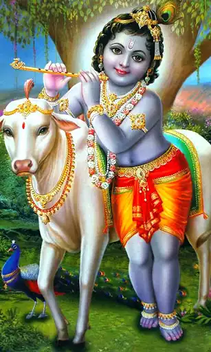 Play Lord Krishna Wallpapers as an online game online Lord Krishna Wallpapers with UptoPlay Play Lord Krishna Wallpapers as an online game Lord Krishna Wallpapers with UptoPlay