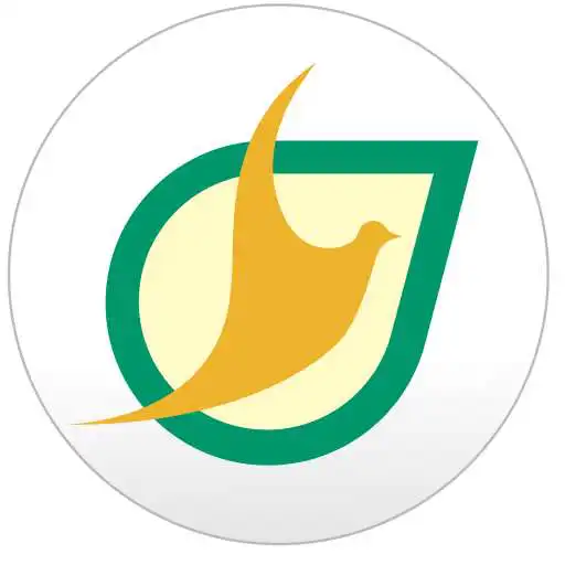 Play Los Olivos Tulua APK