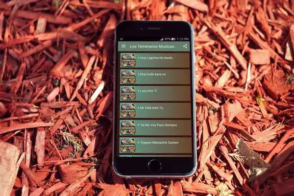 Play Los Temerarios Musicas Letras