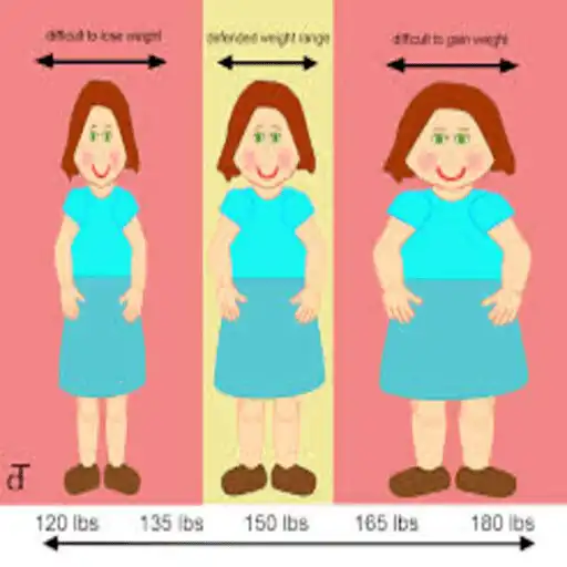 Play Lost weight APK