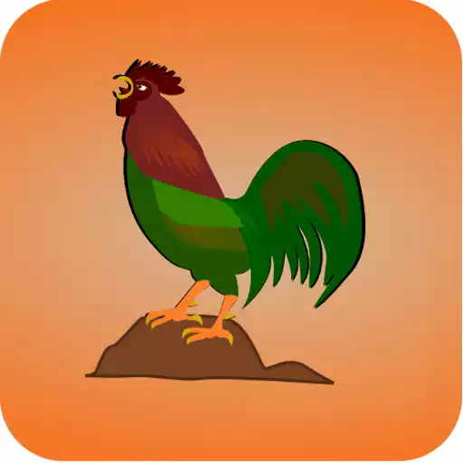 Play Loteria Mexicana APK Play Loteria Mexicana APK