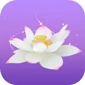 Free play online Lotus Camera APK Free play online Lotus Camera APK