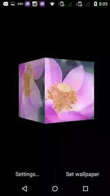 Play Lotus Flower Cube 3d LWP