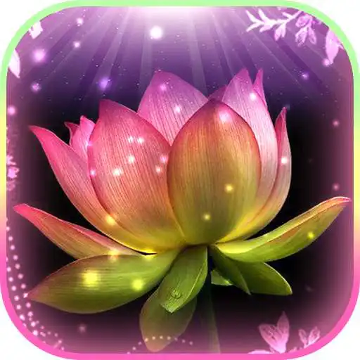 Free play online Lotus Flower Theme Live Wallpaper App  APK
