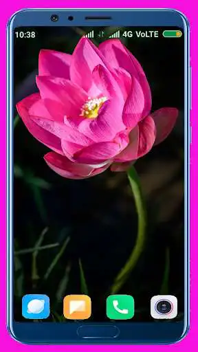 Play Lotus HD Wallpaper  and enjoy Lotus HD Wallpaper with UptoPlay