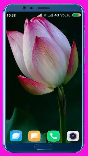 Play Lotus HD Wallpaper as an online game Lotus HD Wallpaper with UptoPlay