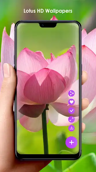 Play Lotus HD Wallpapers  and enjoy Lotus HD Wallpapers with UptoPlay