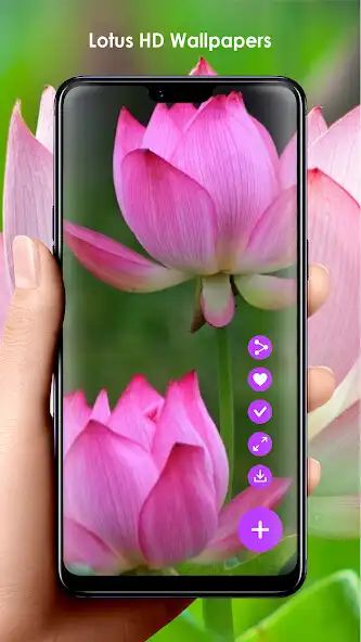 Play Lotus HD Wallpapers as an online game Lotus HD Wallpapers with UptoPlay