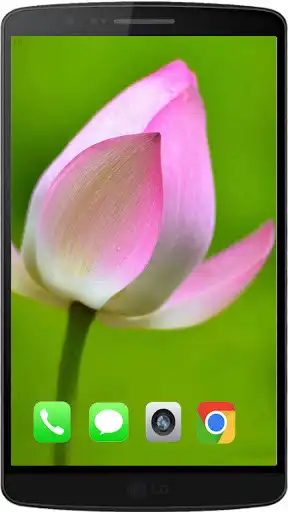 Play Lotus The Best HD Walpaper 2021 and enjoy Lotus The Best HD Walpaper 2021 with UptoPlay Play Lotus The Best HD Walpaper 2021 and enjoy Lotus The Best HD Walpaper 2021 with UptoPlay