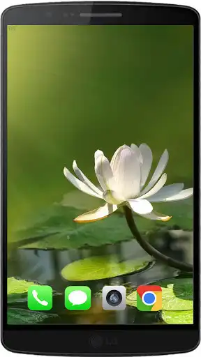Play Lotus The Best HD Walpaper 2021 as an online game online Lotus The Best HD Walpaper 2021 with UptoPlay com.felingdev.lotuswalpaper Play Lotus The Best HD Walpaper 2021 as an online game Lotus The Best HD Walpaper 2021 with UptoPlay