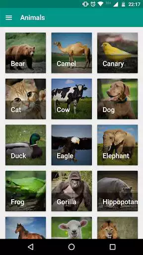 Play Loud Sounds and enjoy Loud Sounds with UptoPlay Play Loud Sounds and enjoy Loud Sounds with UptoPlay