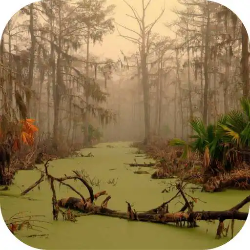 Play Louisiana Local News APK Play Louisiana Local News APK