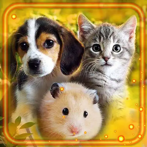 Play Love Baby Pet APK