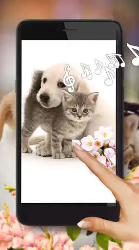 Play Love Baby Pet  and enjoy Love Baby Pet with UptoPlay