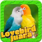 Free play online Lovebird Birds APK Free play online Lovebird Birds APK