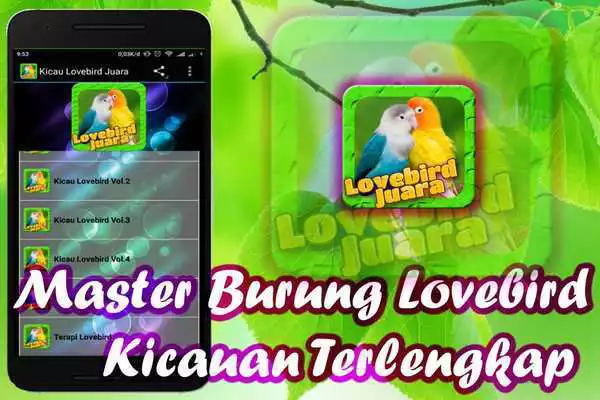 Play Lovebird Birds