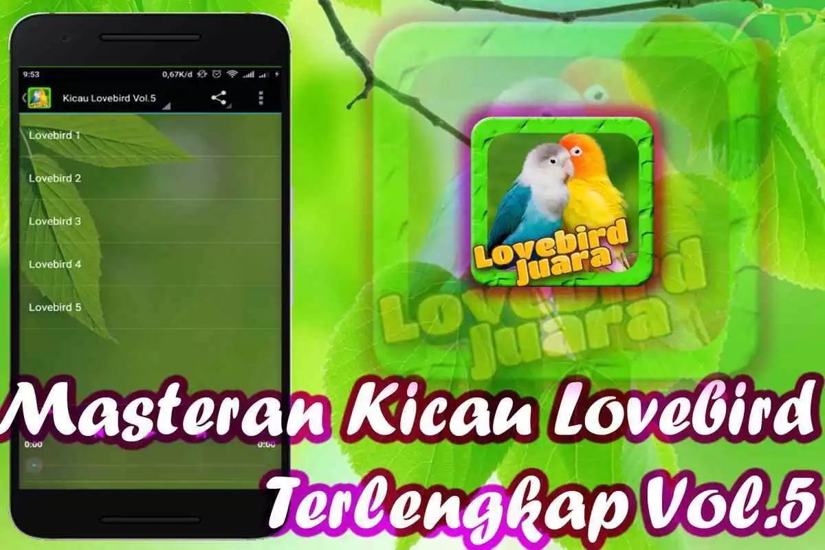 Play Lovebird Birds