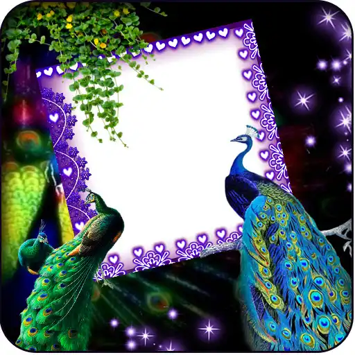 Free play online Love Bird Insta DP Maker APK Free play online Love Bird Insta DP Maker APK