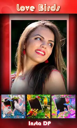 Play Love Bird Insta DP Maker