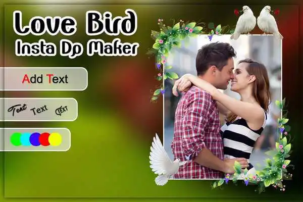 Play Love Bird Insta DP Maker