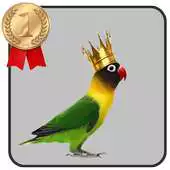 Free play online Lovebird Kicau Master APK Free play online Lovebird Kicau Master APK