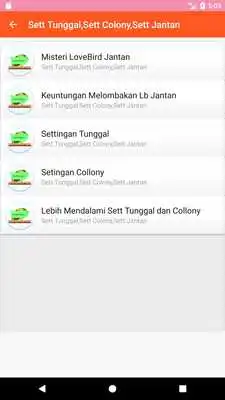 Play LoveBird Kontes