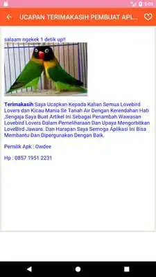 Play LoveBird Kontes