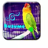 Free play online Lovebird Kusumo Trick APK