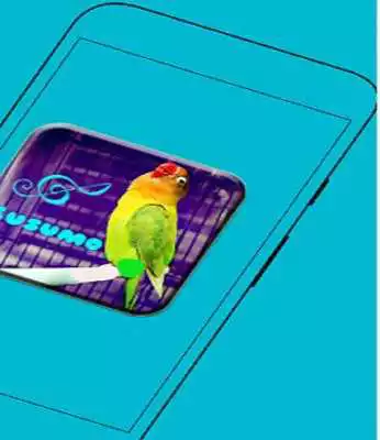 Play Lovebird Kusumo Trick Play Lovebird Kusumo Trick