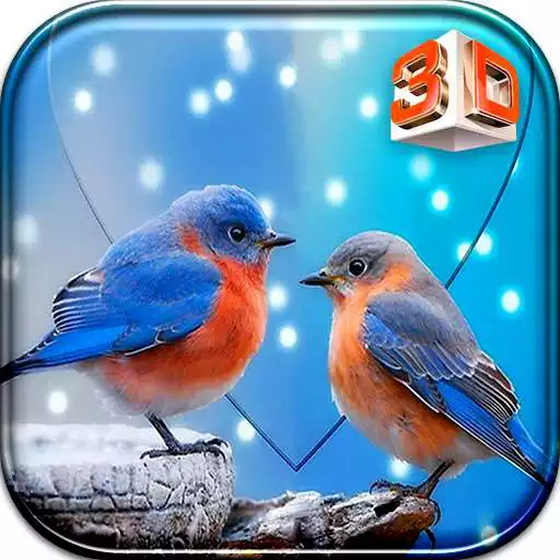 Play Love bird Live wallpaper APK Play Love bird Live wallpaper APK