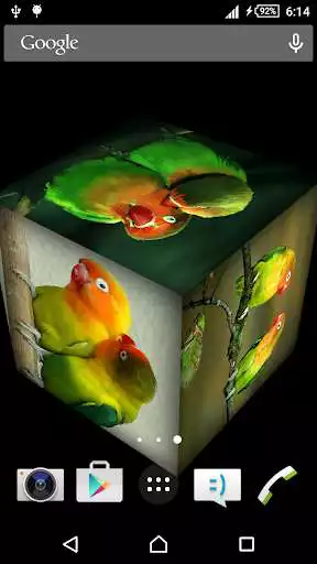 Play Love bird Live wallpaper  and enjoy Love bird Live wallpaper with UptoPlay