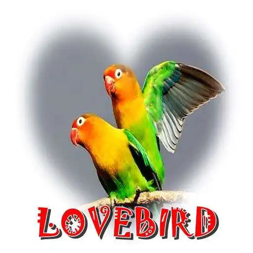 Run free android online Lovebird Master Mp3 APK