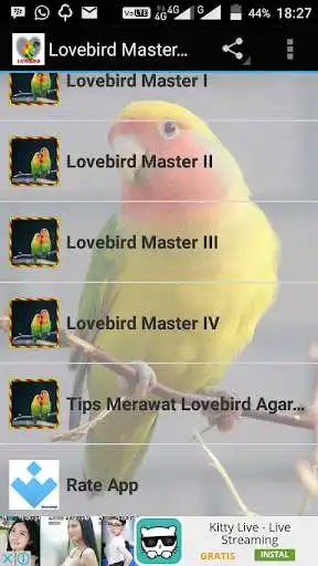 Play APK Lovebird Master Mp3  and enjoy Lovebird Master Mp3 with UptoPlay com.pinarakapp.lovebirdmastermp3
