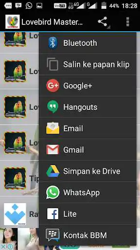 Play APK Lovebird Master Mp3  and enjoy Lovebird Master Mp3 with UptoPlay com.pinarakapp.lovebirdmastermp3