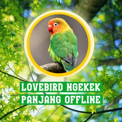 Play Lovebird Ngekek Panjang APK