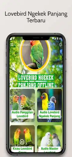 Play Lovebird Ngekek Panjang  and enjoy Lovebird Ngekek Panjang with UptoPlay