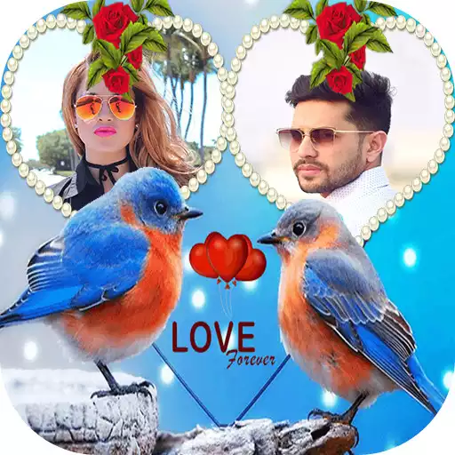 Play Love Birds Dual Photo Frame APK Play Love Birds Dual Photo Frame APK