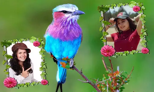 Play Love Birds Dual Photo Frame  and enjoy Love Birds Dual Photo Frame with UptoPlay