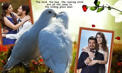 Play Love Birds Dual Photo Frame as an online game Love Birds Dual Photo Frame with UptoPlay