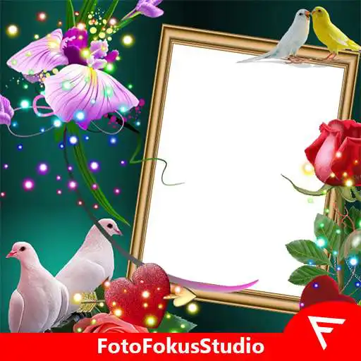 Play Love Birds Insta DP : Bird DP Frames Wallpapers APK Play Love Birds Insta DP : Bird DP Frames Wallpapers APK
