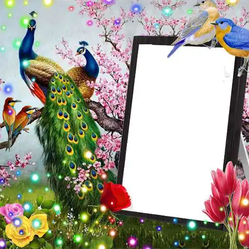 Play Love Birds Insta DP : Bird DP Frames  Wallpapers  and enjoy Love Birds Insta DP : Bird DP Frames  Wallpapers with UptoPlay