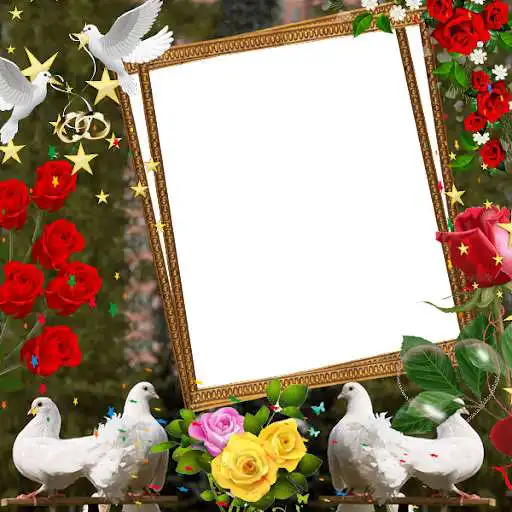 Play Love Birds Insta DP : Bird DP Frames  Wallpapers as an online game Love Birds Insta DP : Bird DP Frames  Wallpapers with UptoPlay