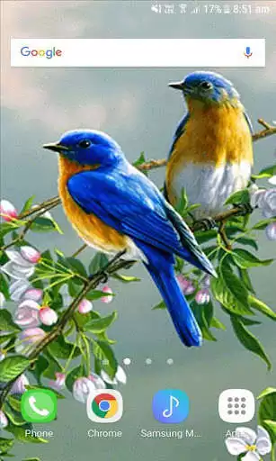 Play Love Birds Live Wallpaper