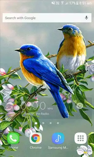 Play Love Birds Live Wallpaper